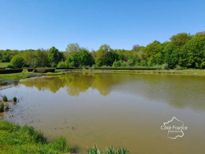 Annonce Vente Terrain Feron 59