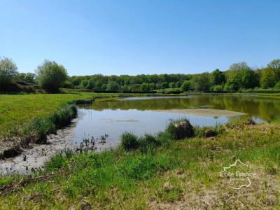 Acheter Terrain 15912 m2 Feron