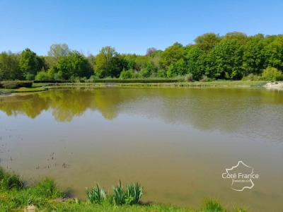 Acheter Terrain Feron 105300 euros