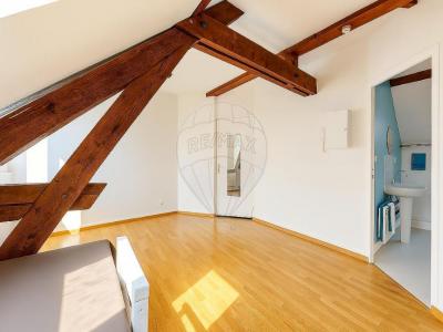 Annonce Location Appartement Sainte-savine 10