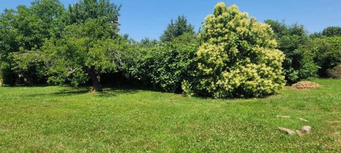 Acheter Prestige Agen Lot et garonne