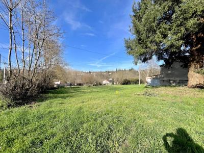 Annonce Vente Terrain Albi 81