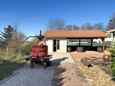 Annonce Vente Maison Mogneneins 01