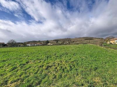 For sale 1000 m2 Saone et loire (71260) photo 0