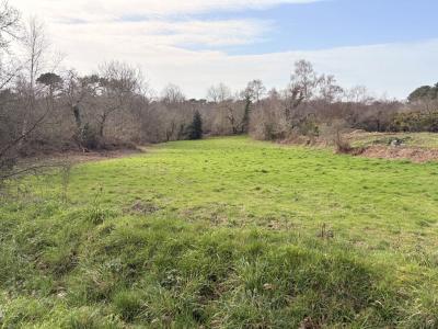 For sale LA CLART� Cotes d'armor (22700) photo 0