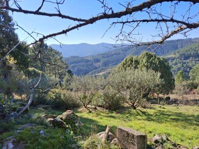 Acheter Maison 230 m2 