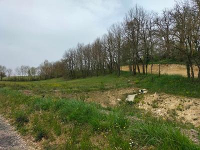 Acheter Terrain Saint-clar 49000 euros