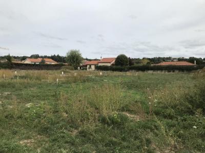 For sale Pouilly-les-feurs 715 m2 Loire (42110) photo 0