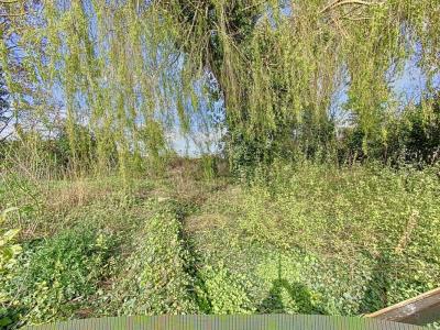 For sale Chapelle-d'armentieres 409 m2 Nord (59930) photo 1