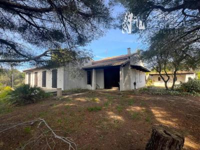 Annonce Vente Maison Arles 13