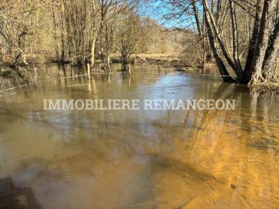 Annonce Vente Prestige Neuvy-sur-barangeon 18