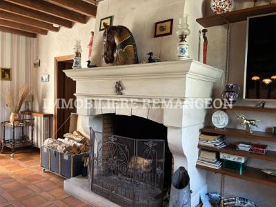 Acheter Prestige 217 m2 Neuvy-sur-barangeon