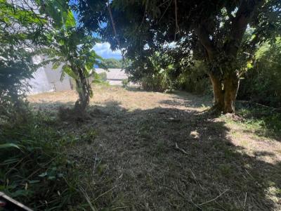 Acheter Terrain 487 m2 Saint-denis