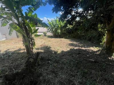 Acheter Terrain Saint-denis 192500 euros