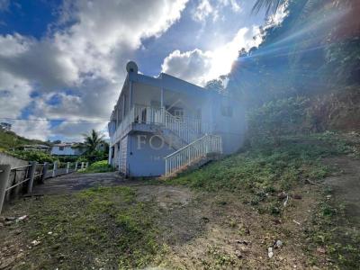 Annonce Vente 9 pi�ces Maison Abymes 971