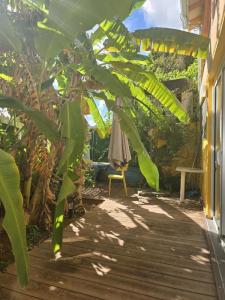 For rent Fort-de-france 2 rooms 39 m2 Martinique (97200) photo 4