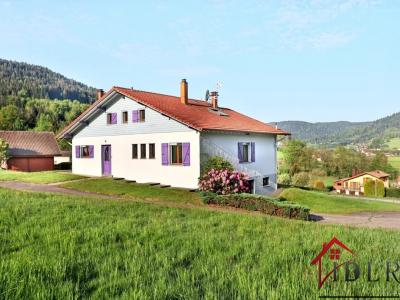 Annonce Vente 8 pi�ces Maison Gerardmer 88