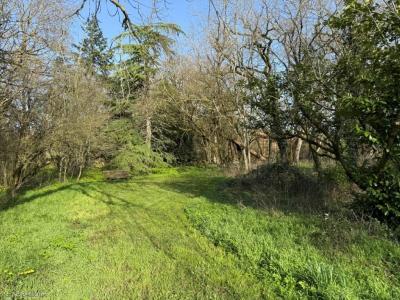Acheter Maison Villefagnan Charente