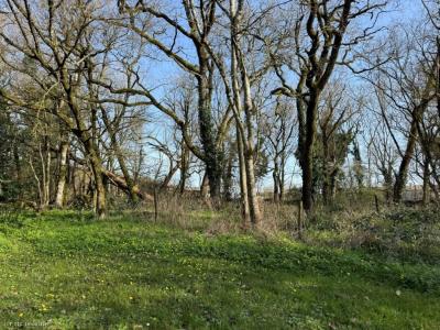 Acheter Maison Villefagnan 170200 euros