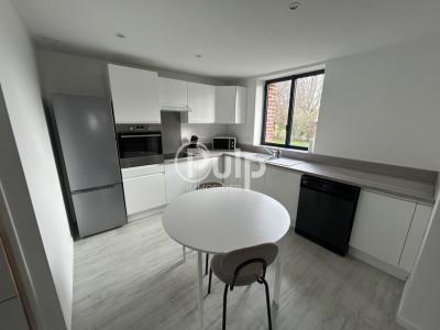 Annonce Location 2 pi�ces Appartement Couture 62