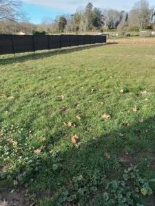 For rent Bernos-beaulac 3 rooms 80 m2 Gironde (33430) photo 0