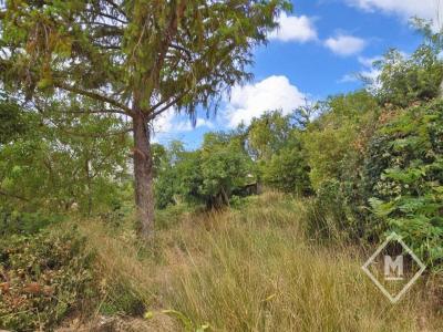 Acheter Maison Marseille-10eme-arrondissement Bouches du Rhone