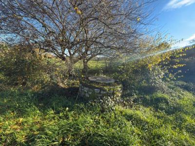 Acheter Maison Saint-gal-sur-sioule Puy de dome