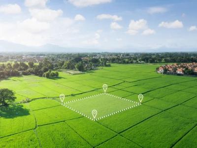 Annonce Vente Terrain Saint-augustin 17