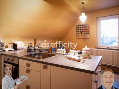 Acheter Maison 337 m2 Offendorf