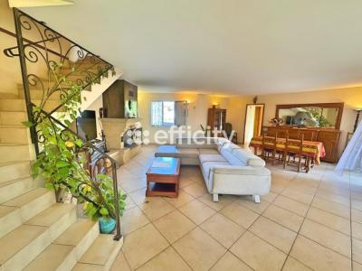 Annonce Vente 5 pi�ces Maison Sorbo-ocagnano 20