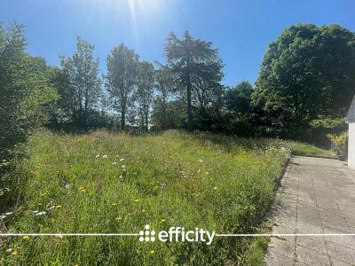 Annonce Vente Terrain Orvault 44