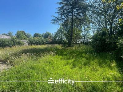 Acheter Terrain 501 m2 Orvault