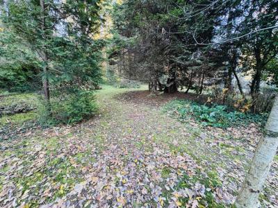 Acheter Maison 80 m2 Nantiat