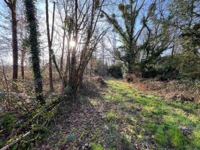 Annonce Vente Terrain Langon 41