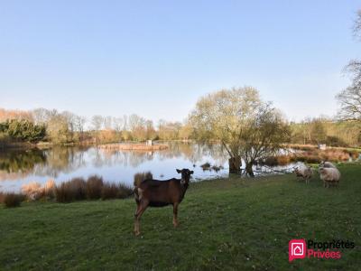 Annonce Vente Terrain Tessoualle 49