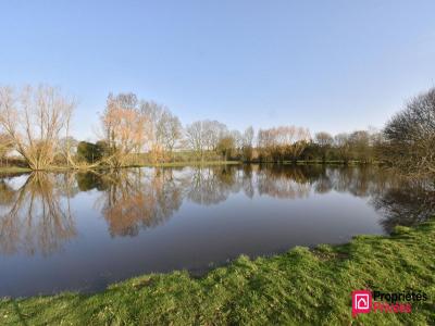 Acheter Terrain 32767 m2 Tessoualle