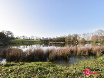 Acheter Terrain Tessoualle 85000 euros