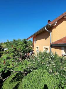 Acheter Maison 120 m2 Rochejean