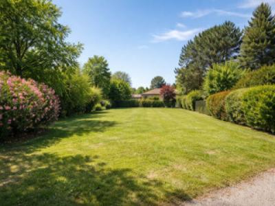 For sale Saint-germain-du-puch 510 m2 Gironde (33750) photo 0