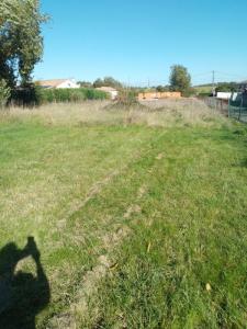 For sale Albi 1281 m2 Tarn (81000) photo 0