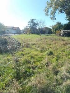 Annonce Vente Terrain Albi 81