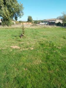 Acheter Terrain 1281 m2 Albi