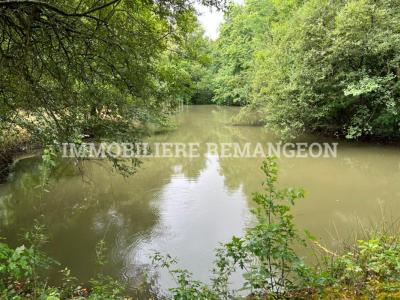 Acheter Prestige Saint-viatre 630000 euros