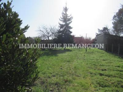 Acheter Maison 82 m2 Selles-saint-denis