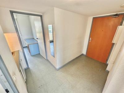 Louer Appartement Lyon-7eme-arrondissement Rhone