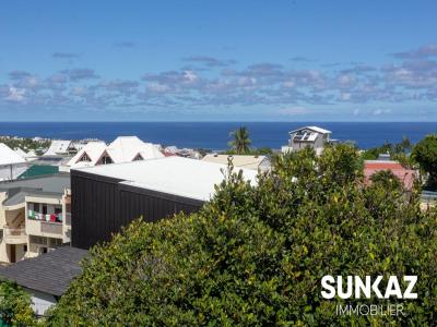 Annonce Location 2 pi�ces Appartement Saint-pierre 974