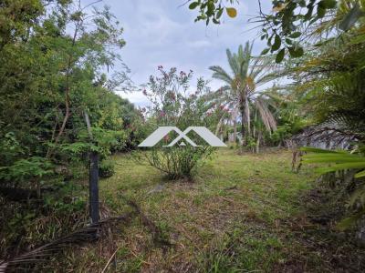 For sale Montagne SAINT-DENIS 857 m2 Reunion (97417) photo 0