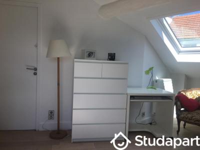 Annonce Location Appartement Verrieres-le-buisson 91