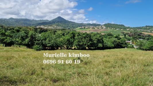For sale Vauclin 358 m2 Martinique (97280) photo 1