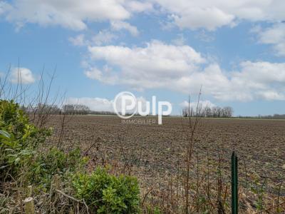 For sale Flines-lez-raches 2250 m2 Nord (59148) photo 2